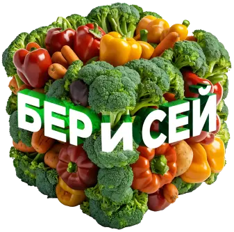Берисей куб 2